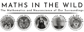 Maths in the Wild logo